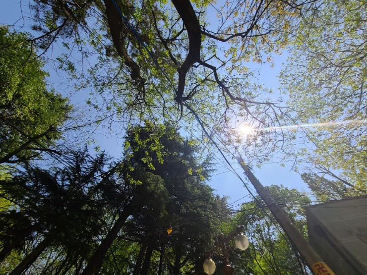 클릭을 하시면 실제 이미지 크기로 보실 수 있습니다.