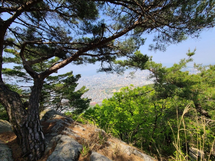 클릭을 하시면 실제 이미지 크기로 보실 수 있습니다.